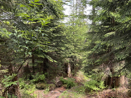 22-05-29 11-44-58 0953